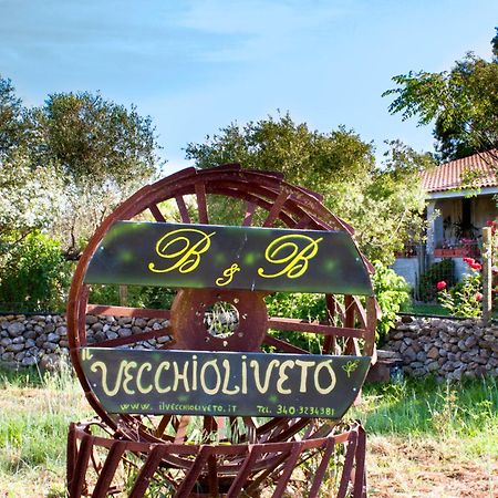 לינה וארוחת בוקר Marrùbiu Il Vecchioliveto Di Ornella מראה חיצוני תמונה