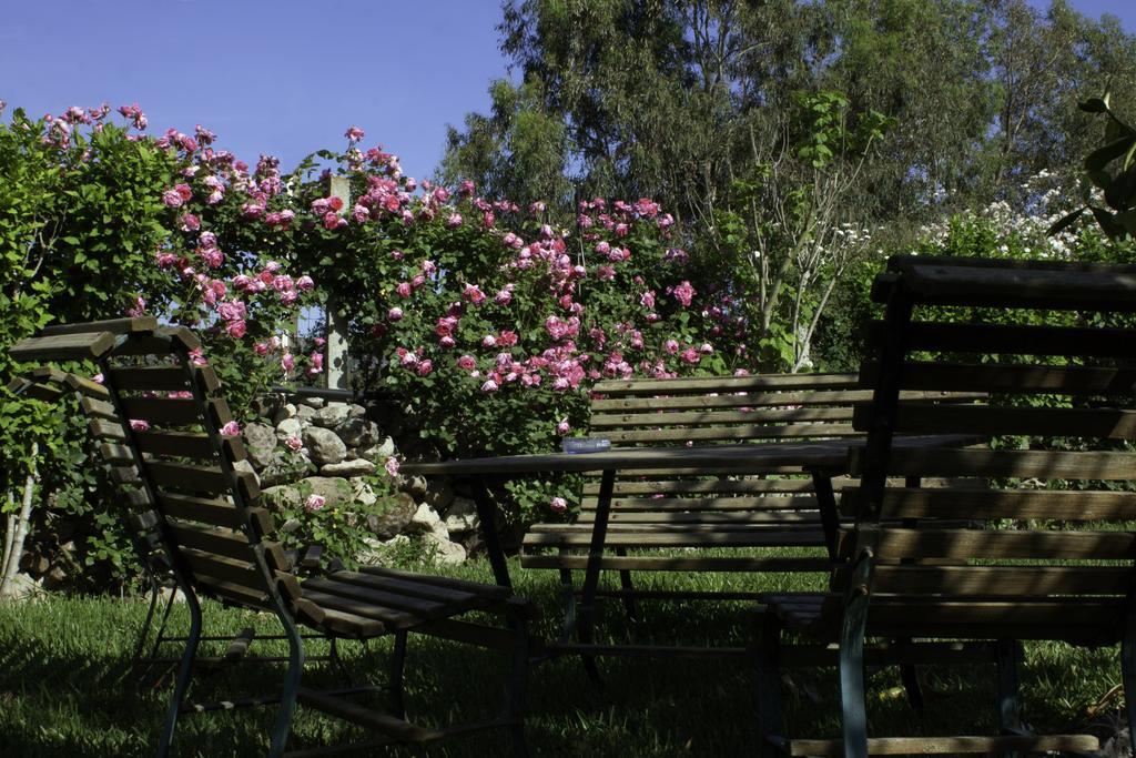 לינה וארוחת בוקר Marrùbiu Il Vecchioliveto Di Ornella מראה חיצוני תמונה