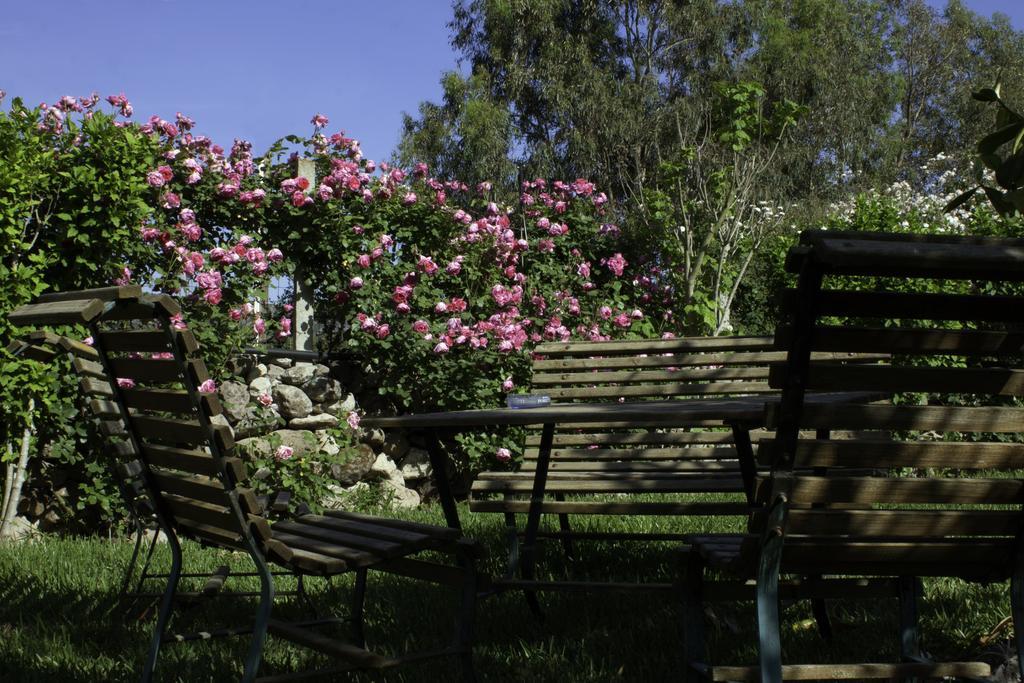 לינה וארוחת בוקר Marrùbiu Il Vecchioliveto Di Ornella מראה חיצוני תמונה