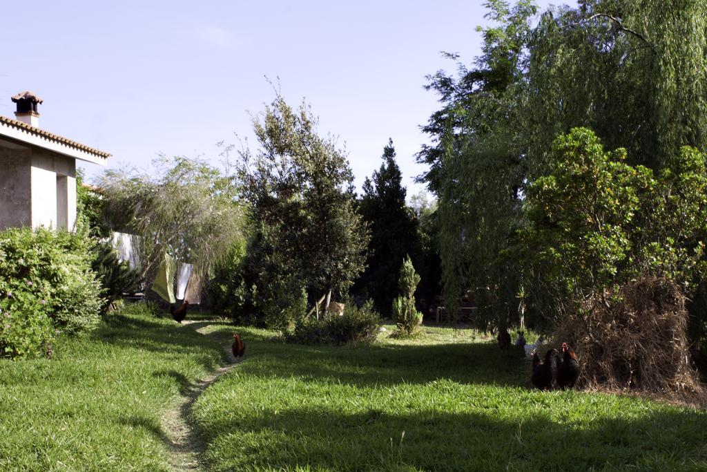 לינה וארוחת בוקר Marrùbiu Il Vecchioliveto Di Ornella מראה חיצוני תמונה