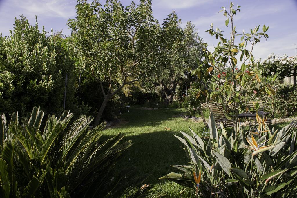 לינה וארוחת בוקר Marrùbiu Il Vecchioliveto Di Ornella מראה חיצוני תמונה