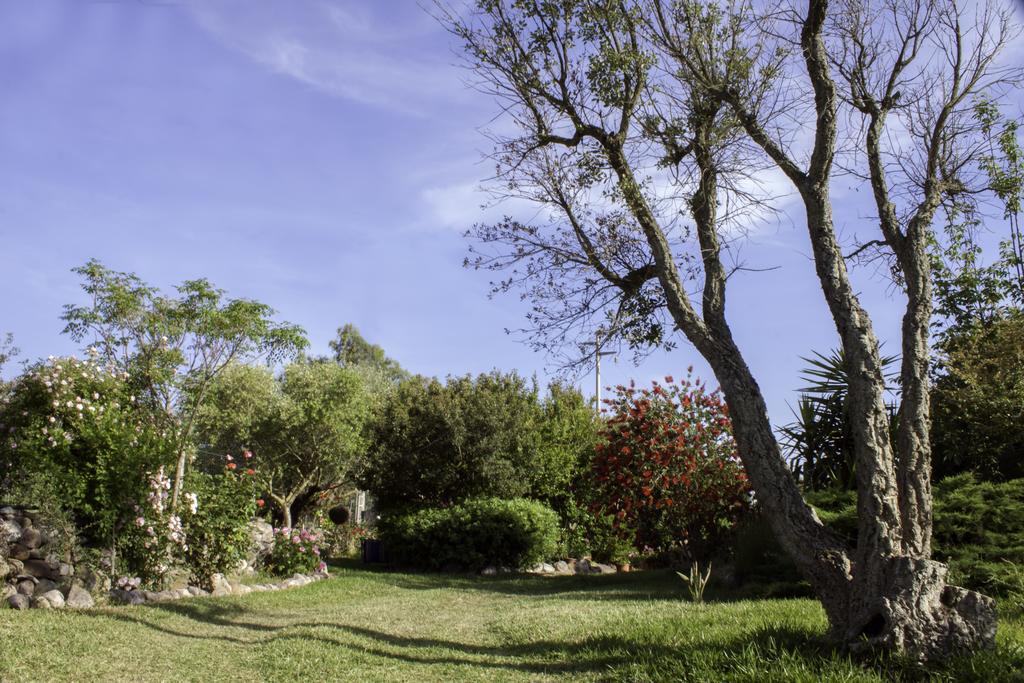 לינה וארוחת בוקר Marrùbiu Il Vecchioliveto Di Ornella מראה חיצוני תמונה