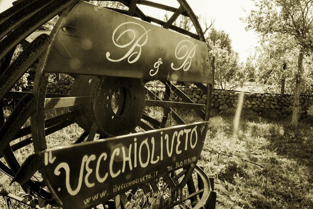 לינה וארוחת בוקר Marrùbiu Il Vecchioliveto Di Ornella מראה חיצוני תמונה