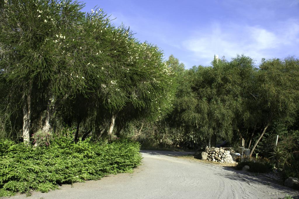 לינה וארוחת בוקר Marrùbiu Il Vecchioliveto Di Ornella מראה חיצוני תמונה